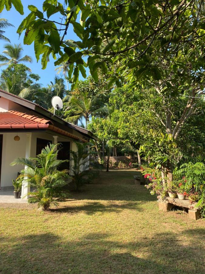 Mango Villa Хиккадува Экстерьер фото