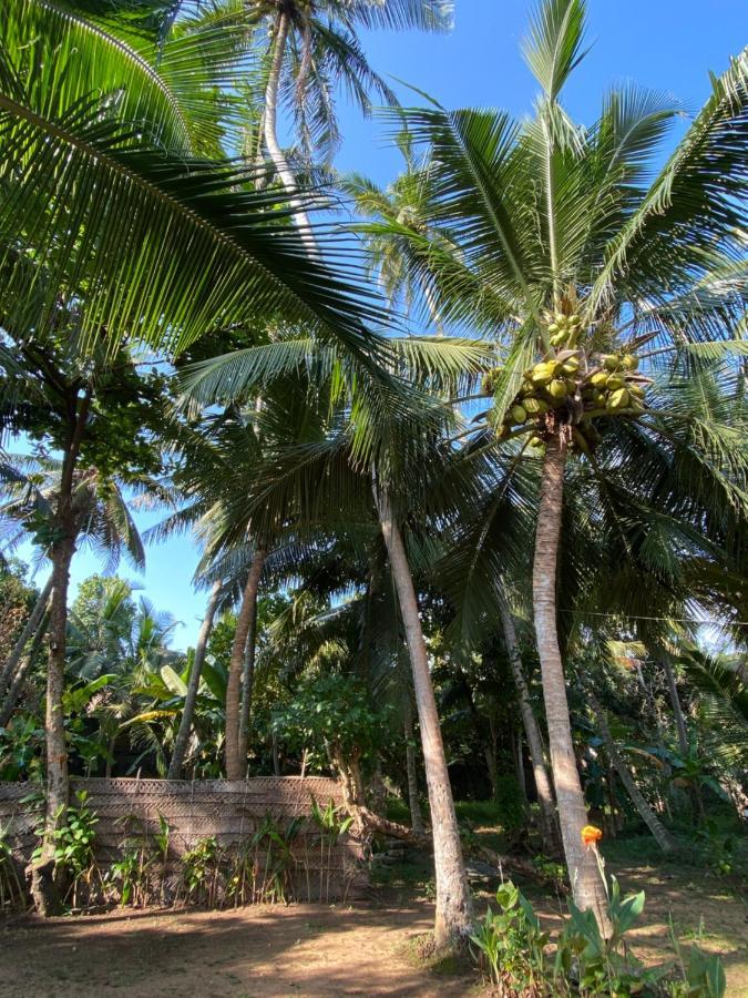 Mango Villa Хиккадува Экстерьер фото